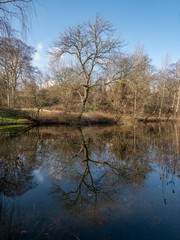 Østeranlæg træ refleksion i en af søerne