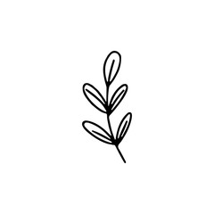 Hand drawn leaves flat vector icon isolated on a white background.