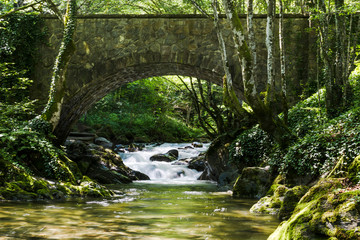 Forest river and bridge near Ribaritsa during spring season, near Teteven minicipality. 
