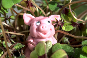 Marzipanschwein im Glücksklee	