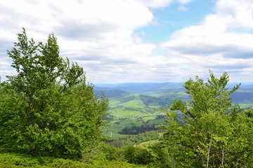 Fototapeta na wymiar view of the Carpathian mountains on a sunny summer day, Carpathians, Ukraine