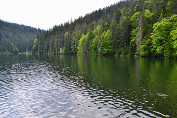 panoramic view of the lake and the forests around, Synevyr Lake, Ukraine