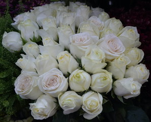 White Roses Background. Variety of white roses in beautiful bouquet. Bridal bouquet of white rose in bright colors in flower shop in market.