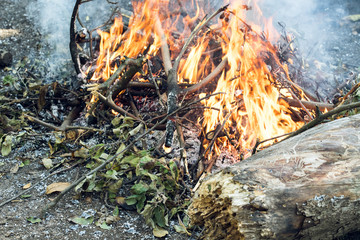 Farmer burns green waste in the concept of bonfire, bonfire outdoors, agriculture. Fallen leaves, branches and household trash burns in an autumn fire
