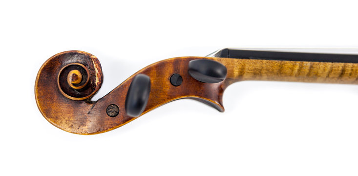 Schnecke einer Geige/Violine