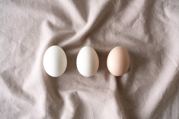 Natural healthy food and organic farming, easter and spring concept.