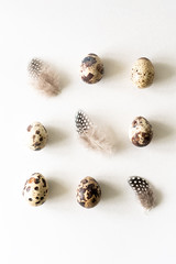 Natural healthy food and organic farming, easter and spring concept.