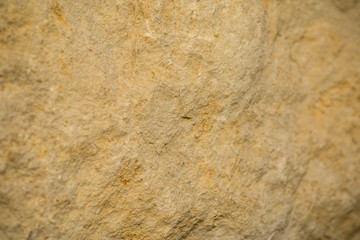 backdrops