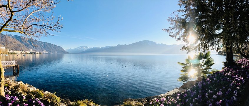 Lake Geneva Collection