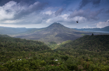 Fototapeta na wymiar Breathtaking Indonesian traditional tropical islands nature landscape.