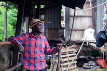 African farmer man is standing at his workplace near cows at the farm