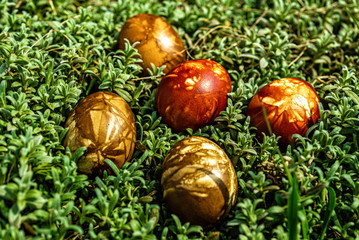 Multicolored easter eggs in green grass. Easter concept