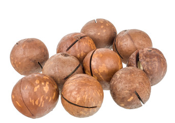 Macadamia nuts isolated on white background
