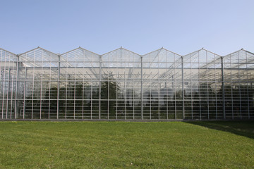 Obraz premium Beautiful spring landscape with greenhouse and green field
