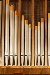 Organ Pipes 