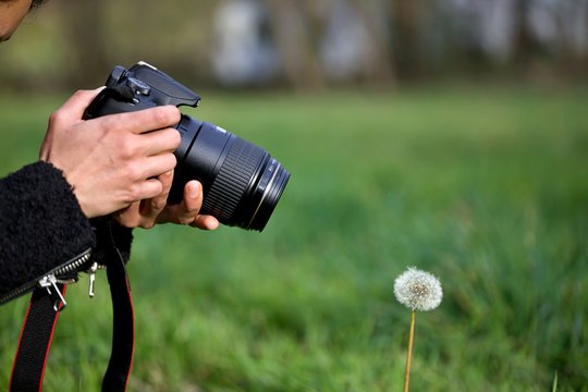 Photographe macro fleur