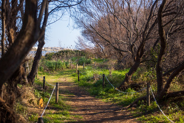 Camino junto al Río Llobregat