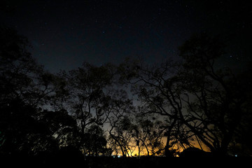 Stars over Dikhololo nature reserve with ambient light on the horizon