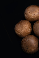 Fototapeta premium Stock photo of overhead view of group of mushrooms on black background.