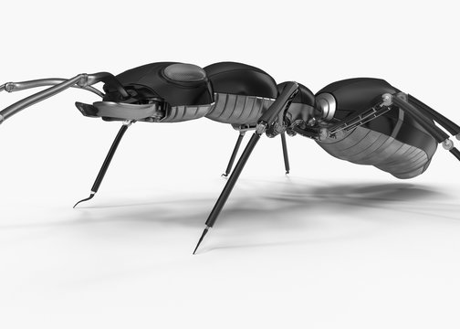 Mechanical ant. 3d Render, vray render+ pbr material  