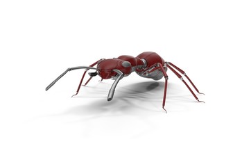 Mechanical ant. 3d Render, vray render+ pbr material  