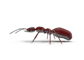 Mechanical ant. 3d Render, vray render+ pbr material  