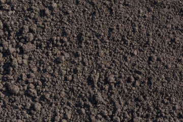 close up of soil in a garden