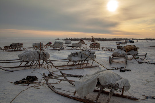 Camp of nomadic Nenets