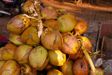 bunch of tender coconuts (Cocos nucifera) for sale in a roadside shop in kerala