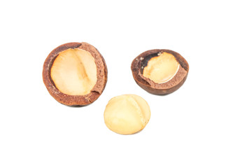 Macadamia nut isolated