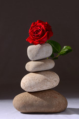 Flowers placed on a rock balancing setup