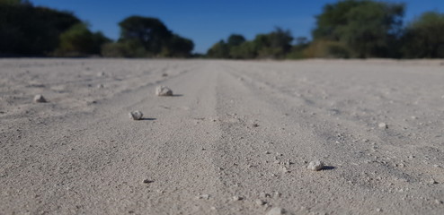 Road trip through the desert