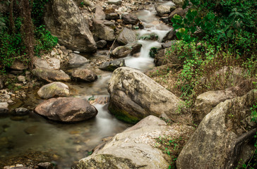 stream in forest