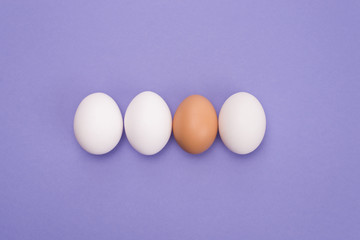 Leadership concept. Top above close up view photo of three same eggs and one egg with brown shell isolated over violet color background