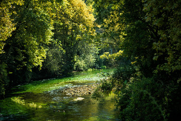 Fototapeta na wymiar Famous river Sorgue with beautiful green water plants and trees around in hot summer sunny day in Fontaine-de-Vaucluse, Provence, France, travel tourism destination