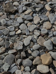 pebbles on the beach