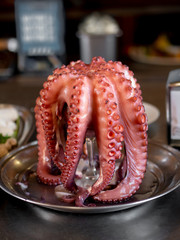 recently cooked octopus in a restaurant © Algecireño