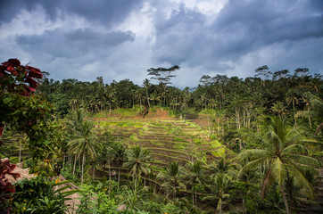 Fototapeta na wymiar Breathtaking Indonesian traditional tropical islands nature landscape.