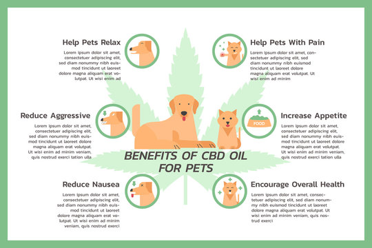 Infographic Benefits Of Cbd Oil For Pets, Cats And Dogs, Healthcare And Medical About Cannabis, Hemp, Marijuana, And Weed, Vector Flat Symbol Icon Illustration In Horizontal Design