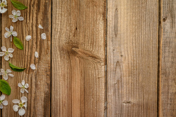 Cherry flowers in spring on wooden background