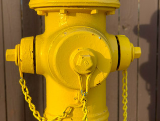A bright yellow fire hydrant against a wooden fence.