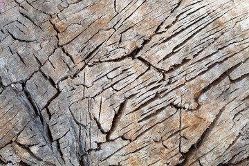 Old Weathered Cracked Wood Texture