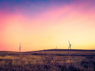 Looking out over a field of brown grass with turbines on the horizon against a beautiful sky.