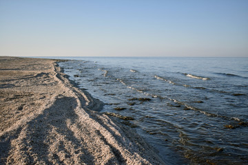 coast of the Salton sea