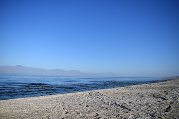 coast of the Salton sea