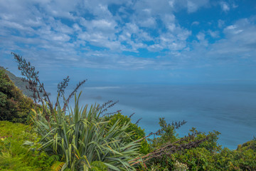 Obraz premium View at misty Tasmanian Sea near Haast Highway, New Zealand