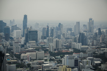 Fototapeta premium panorama of a large beautiful city
