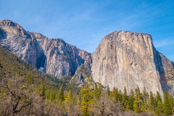 Fototapeta na wymiar El Capitan in Yosemite National Park
