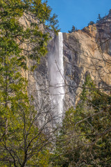 Bridalveil Falls in Yosemite Natonal Park behind trees