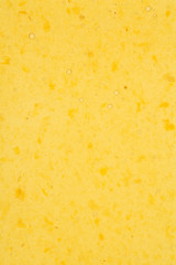 Dried fruit apricot texture